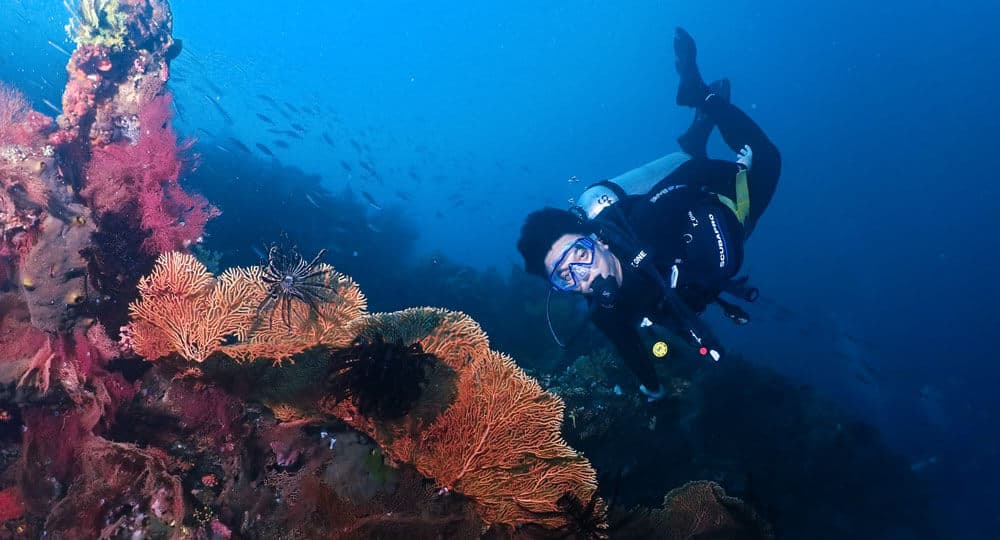 tulamben diving