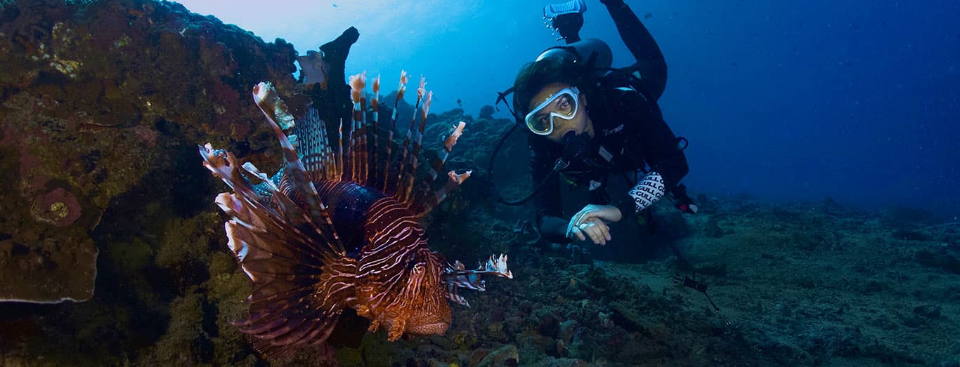 tulamben diving